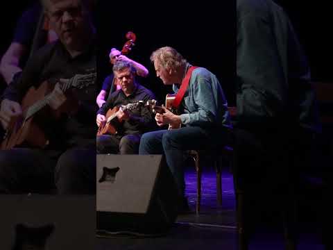Swing Medical en vivo en el CC25 de Mayo — Ciclo Jazzología, Festival Django Argentina 2026.