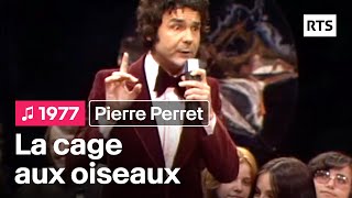 Pierre Perret - La cage aux oiseaux (1977)