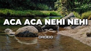 Download lagu Dadido - Aca Aca Nehi Nehi (Lirik) mp3 Download lagu Dadido - Aca Aca Nehi Nehi (Lirik) mp3