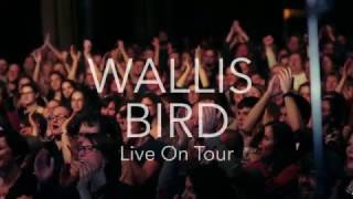 Wallis Bird - Live 2017