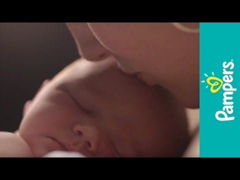 PAMPERS | Πάνες Μωρού Premium Care Νο3 5-9kg 60 Τεμάχια
