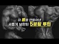 각 분야의 고수들과 함께 구성한 새로운 5분할 루틴