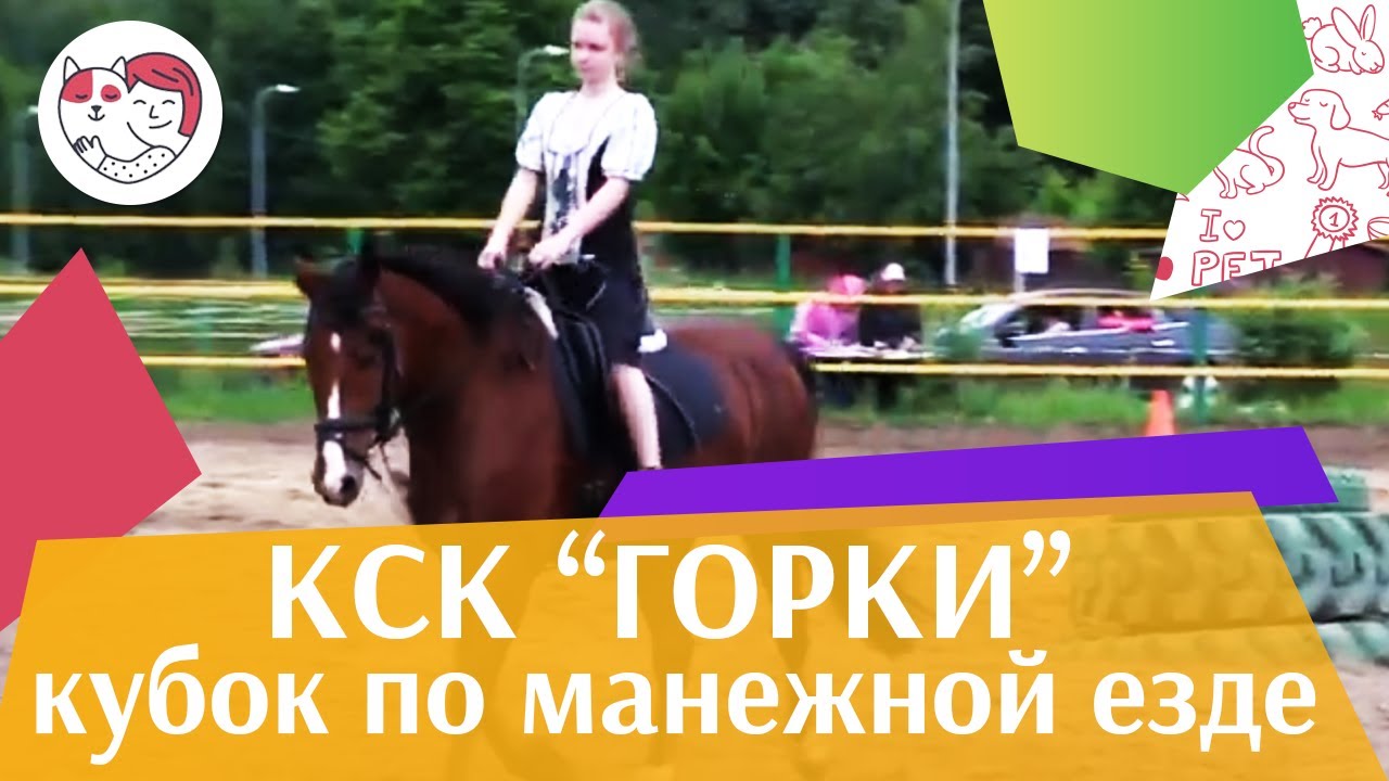 Летний кубок КСК Горки по манежной езде КЮР часть 20 на ilikepet
