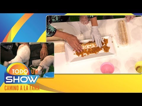 ¡Preparamos un rico sushi para nuestro perro!
