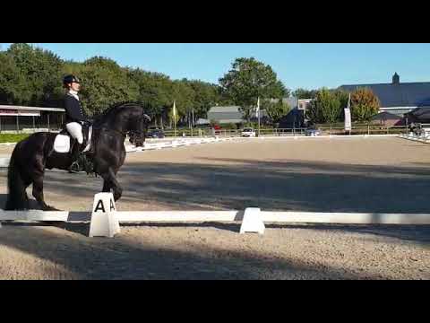 Jarn Competing in the ZZ Light level dressage on the championships.