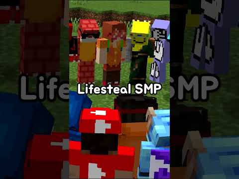 How I Joined The "Lifesteal SMP"