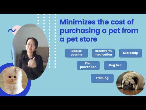 PERSUASIVE SPEECH - ADOPTING PETS ( Why you should adopt pets instead of buying them )
