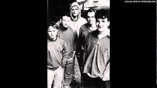 The Orchids - Apologies