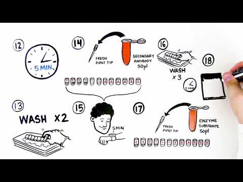 ELISA Immuno Explorer Kit Student Activity Video Quick Guide