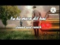 Tu Hi Mera Dil Hai Sad Lofi Song Slowed Reverb