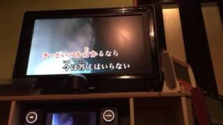 【うたってみた】Belief【May'n】