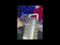 Spiderman ASMR
