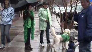 St. Patrick&#39;s Day Pet Parade on Broad St.