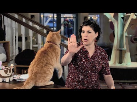 afbeelding Call Me Kat Season Two Teaser