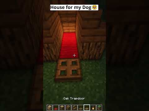 House for my Dog🥺 #shorts  #minecraft