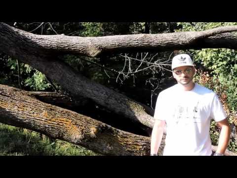 BRONX feat Raul&Amalia-Abuz de dragoste