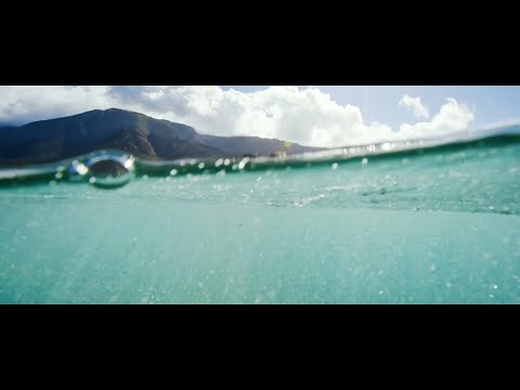 Canon in D major by Johann Pachelbel - Full of Life - Christine and the Queens