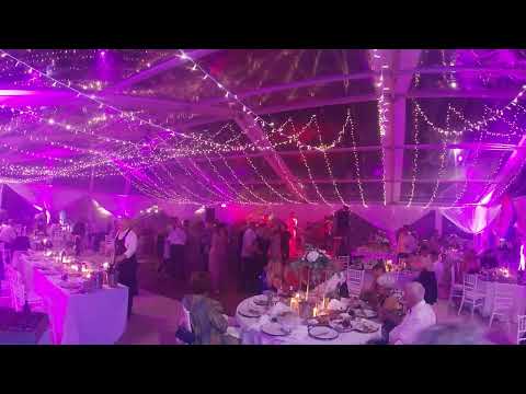 GEA LIVE 2022 - KADI SU TA VRATA (GUSTAFI) + SAMO ANĐELI ZNAJU (KRAVATE) + JENU NOĆ (ALEN VITASOVIĆ)