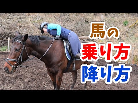 馬の乗り方