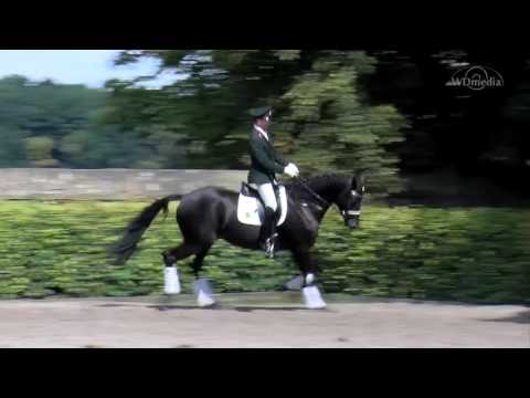 Millennium v  Easy Game   Ravel     Consul