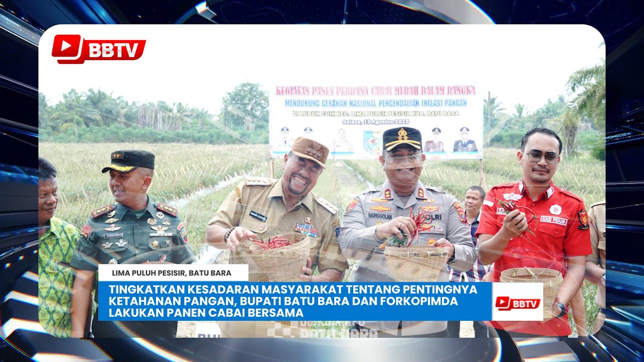 PENTINGNYA KETAHANAN PANGAN, BUPATI BATU BARA DAN FORKOPIMDA LAKUKAN PANEN CABAI BERSAMA