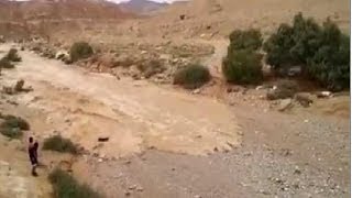 Renace el río Zin, Después de años de sequía en Israel. Desierto de Neguev. Marzo 2014.