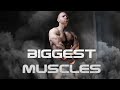 Look On This Awesome Siberian Pumped Up Muscles! | Flexing Show From Sergey Frost