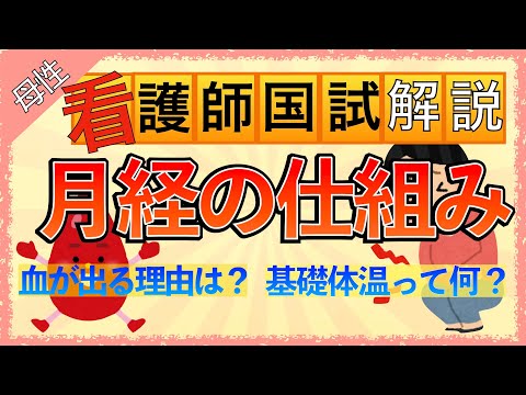 月経周期について詳しく解説