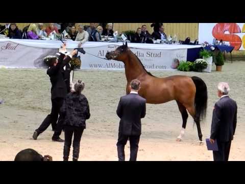 30. All Nations Cup, Aachen 2012, QR Marc.wmv