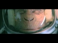 Ben Lee music video: WWF Space Monkey 