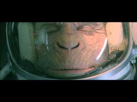 Ben Lee music video: WWF Space Monkey