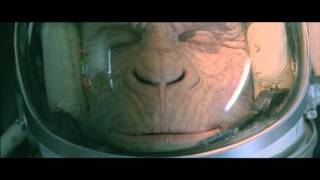 Ben Lee music video: WWF Space Monkey