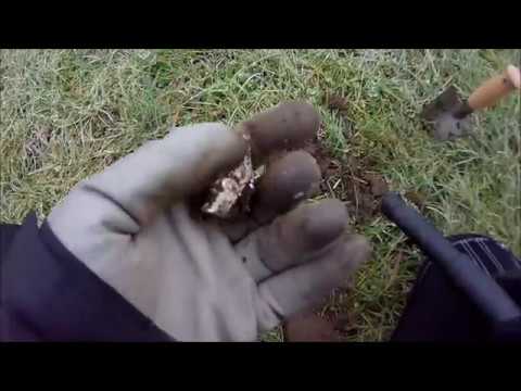 Teil 1 --SONDELN-- am Strand-Bad mit Münzenregen und reichlich Nostalgie Teil 1