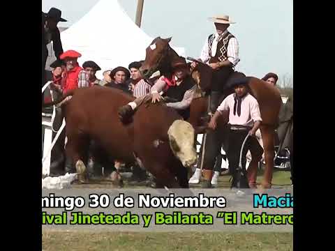 Monta de Toros en Los Naranjos Hasenkamp Entre Ríos Parte 2