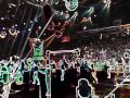 Ringling Bros And Barnum Bailey