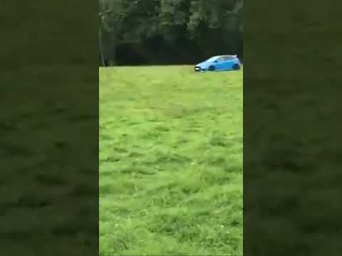 Herd of Sheep: Ford Focus Edition