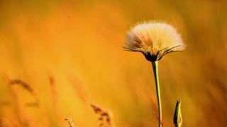 Re: [討論] 原來「好的我投柯」是白粉的小草戰術啊