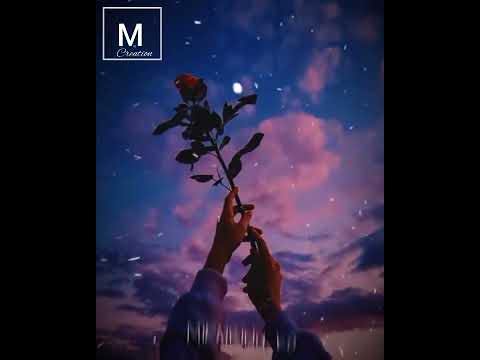 MANGLANDADEE - whatapp status (lyrics) video 💖💞