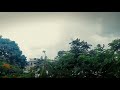 Nature Slow Motion Status WhatsApp Status