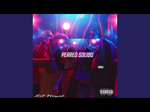 PERREO SOLIDO