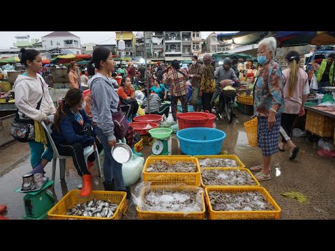 Amazing Chhbar Ampov Site Distributes Fish, Sea Food & More Food - Morning Fish Market Tour in Town