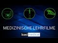 Die Manie Einfach Und Verständlich Erklärt