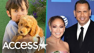 Jennifer Lopez & Alex Rodriguez's Family Puppy Has A Name