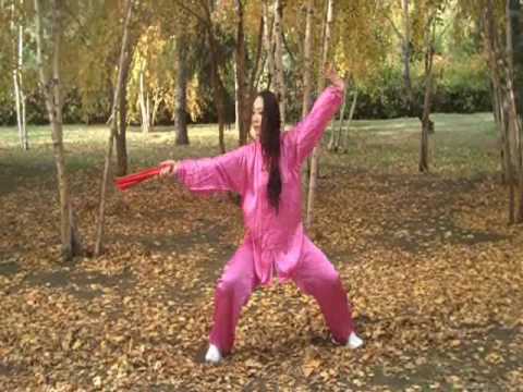 Tai Chi Kung Fu Fan