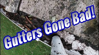 Preview of Gutters Gone Bad! - Gutter Cleaning.
