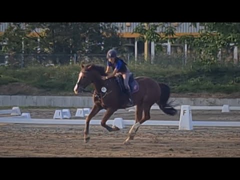 Malu (12) und Zappa in Fußgönnheim am 18.09.2021