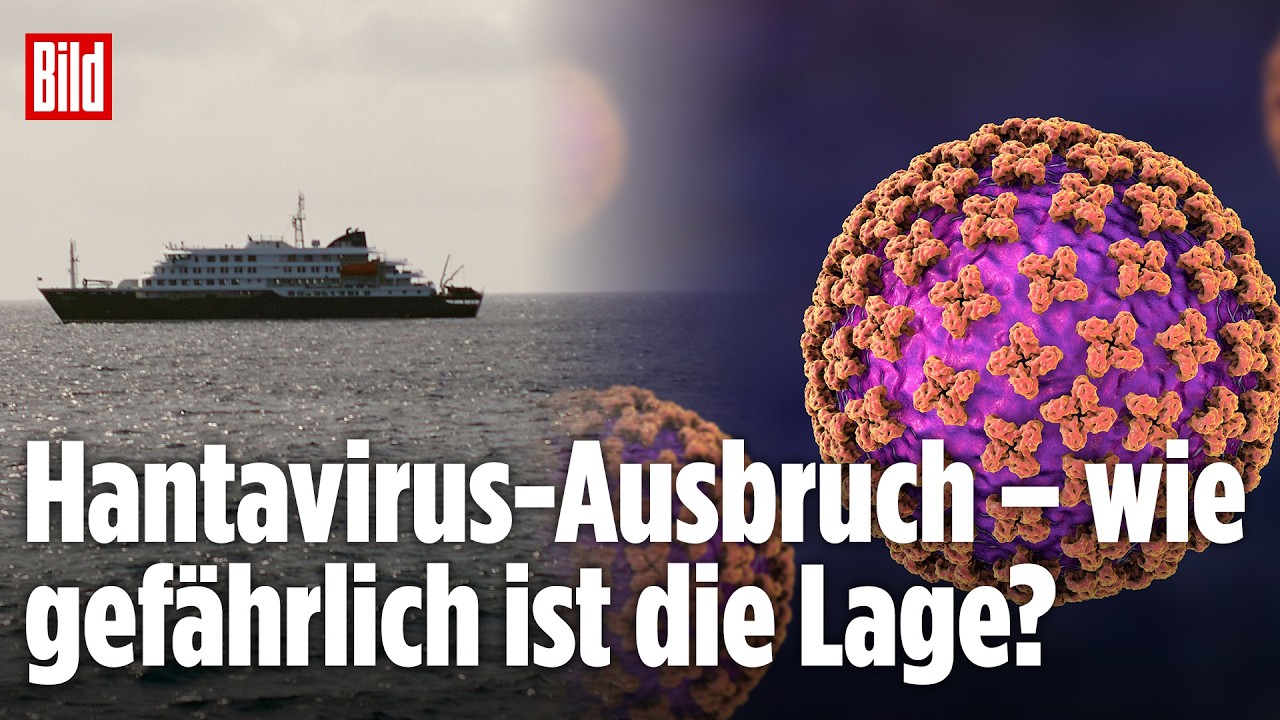 Hantavirus erklärt: Experte warnt vor Gefahr auf Kreuzfahrtschiff