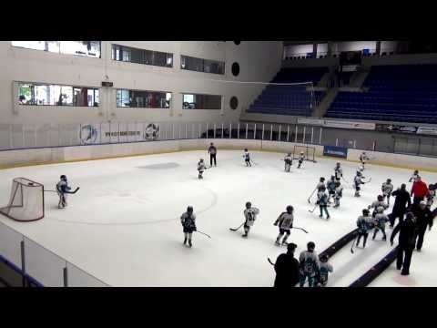 Vasas SC Mini "B" - Sportországi Cápák 2013.09.21.