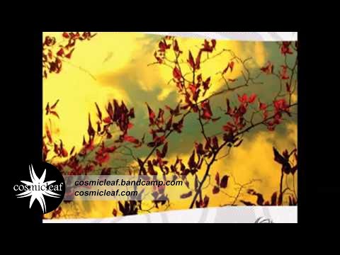 Kick Bong - Blissfull (Psychill)