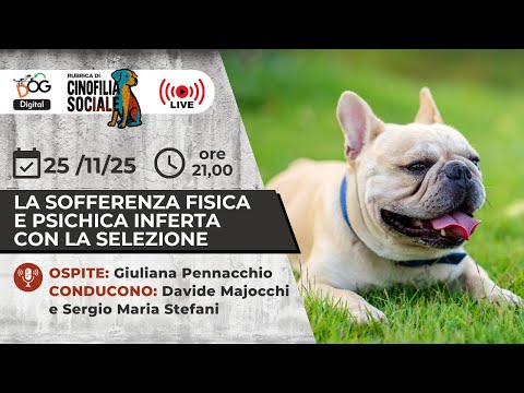 La sofferenza fisica e psichica inferta con la selezione